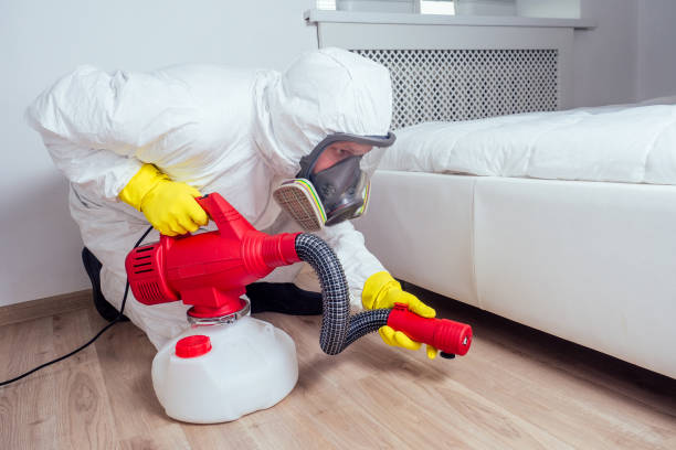 Emergency Pest Control Services in Bessemer City, NC